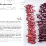 2011_Portfolio_Keramisch Botanisches Beobachtungsprotokoll_Seite_04