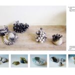 2011_Portfolio_Keramisch Botanisches Beobachtungsprotokoll_Seite_05