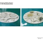 2011_Portfolio_Keramisch Botanisches Beobachtungsprotokoll_Seite_22